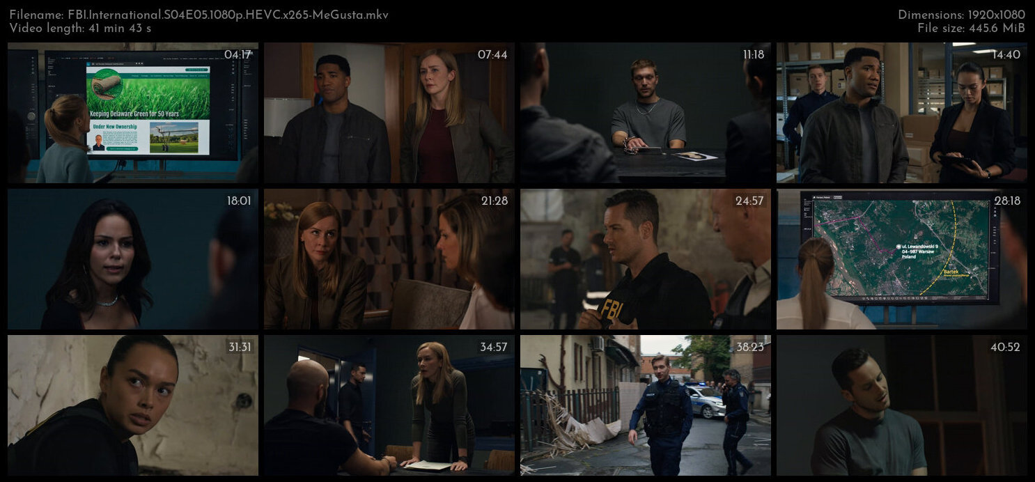 FBI International S04E05 1080p HEVC x265 MeGusta TGx