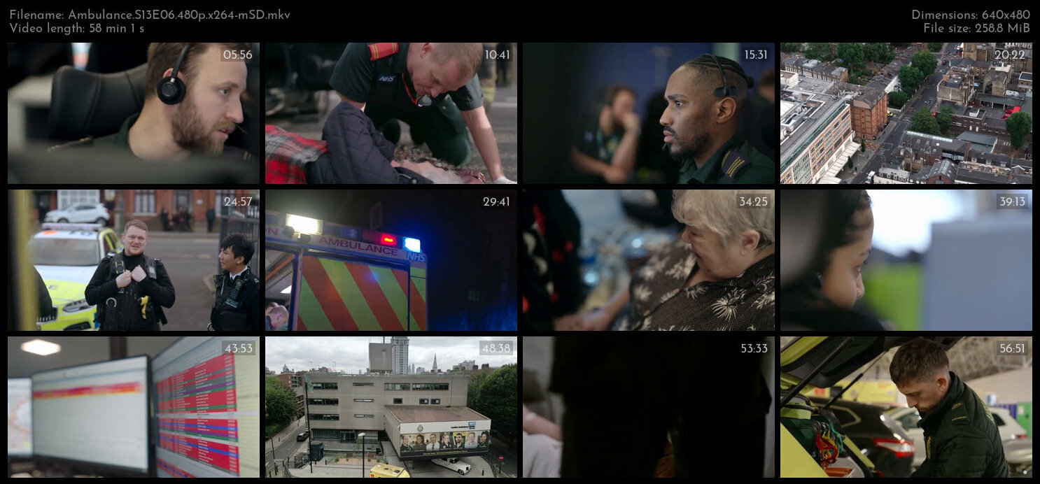 Ambulance S13E06 480p x264 mSD TGx