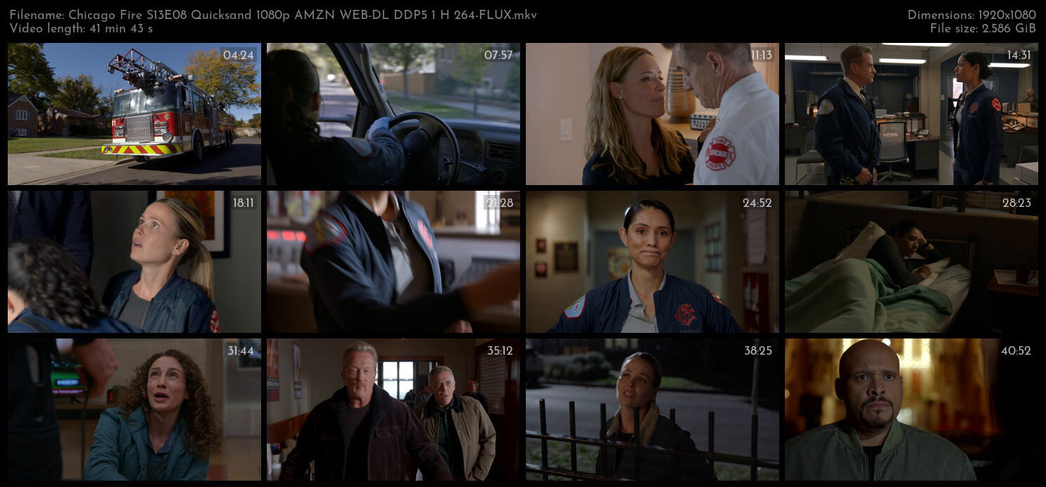 Chicago Fire S13E08 Quicksand 1080p AMZN WEB DL DDP5 1 H 264 FLUX TGx