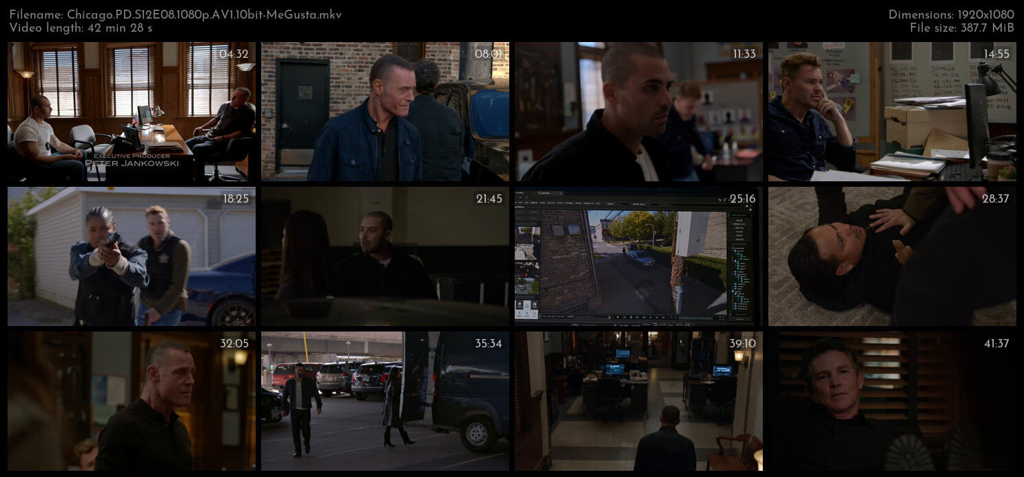 Chicago PD S12E08 1080p AV1 10bit MeGusta TGx