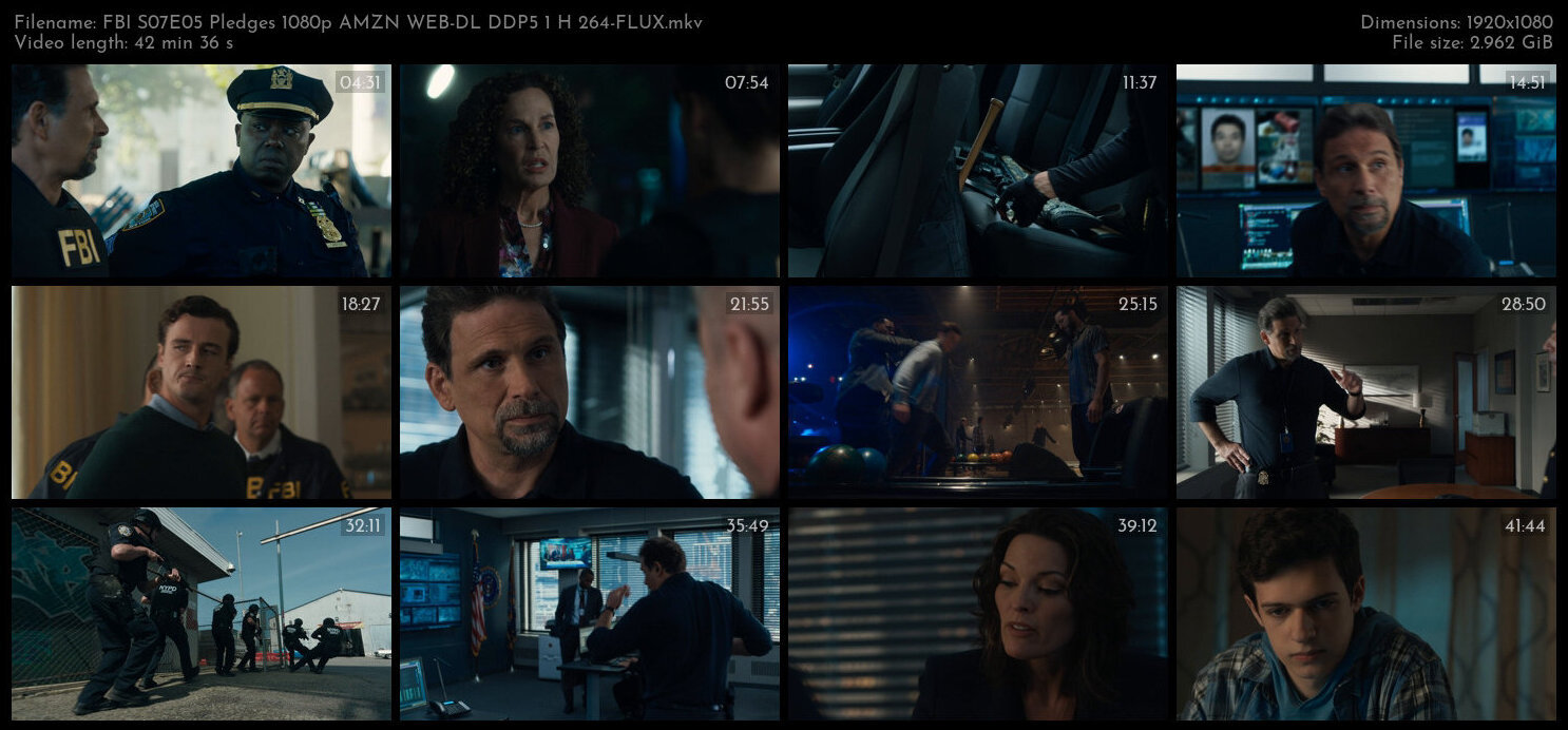 FBI S07E05 Pledges 1080p AMZN WEB DL DDP5 1 H 264 FLUX TGx