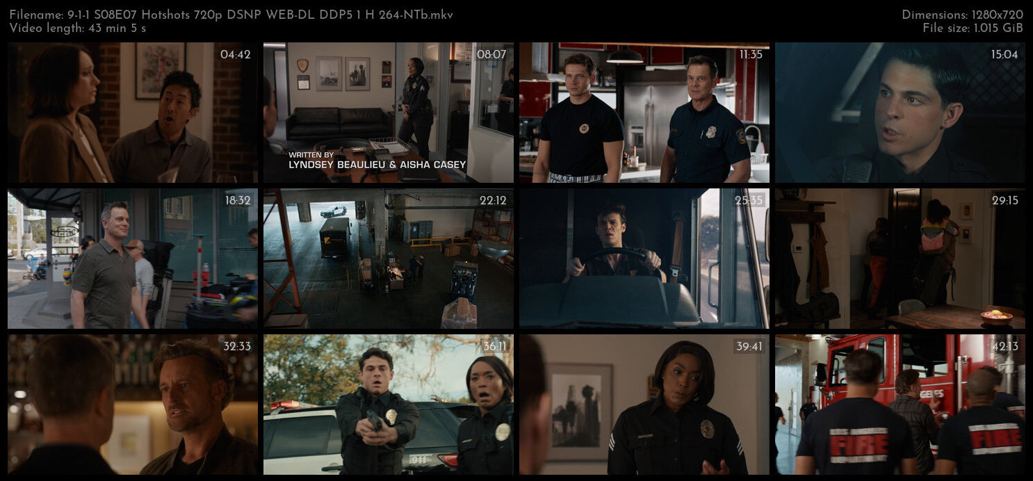 9 1 1 S08E07 Hotshots 720p DSNP WEB DL DDP5 1 H 264 NTb TGx