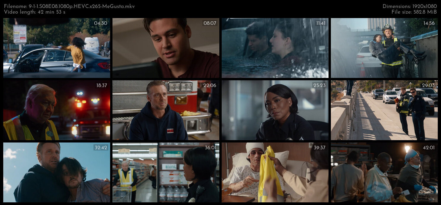 9 1 1 S08E08 1080p HEVC x265 MeGusta TGx