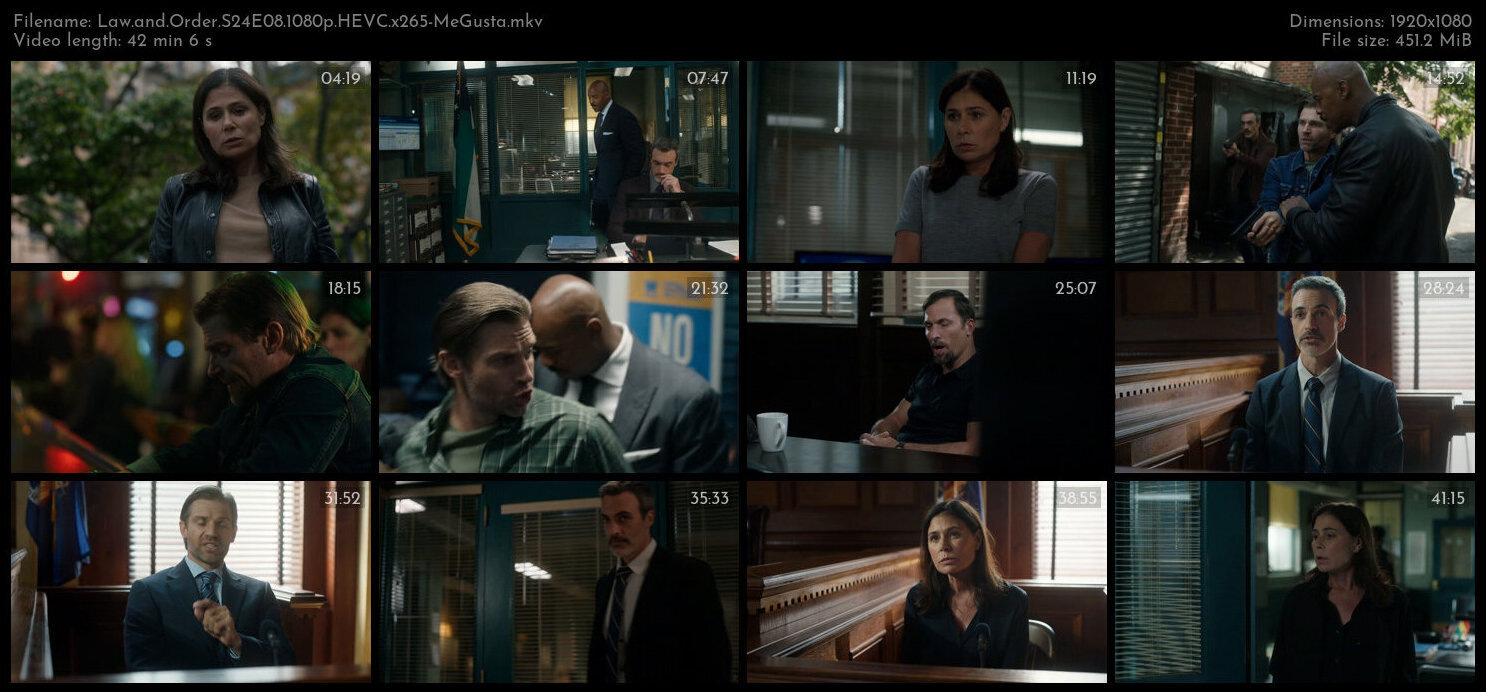 Law and Order S24E08 1080p HEVC x265 MeGusta TGx