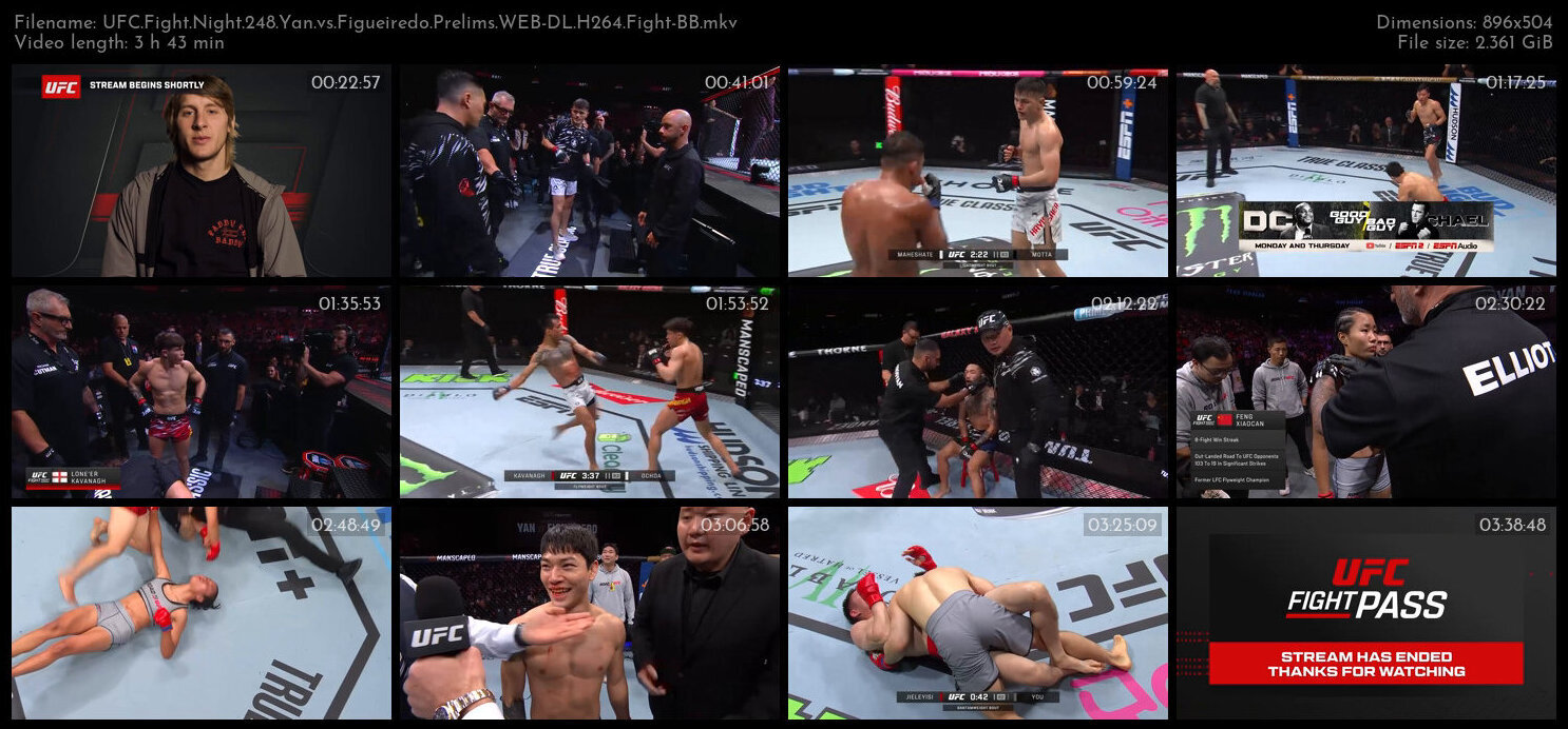 UFC Fight Night 248 Yan vs Figueiredo Prelims WEB DL H264 Fight BB