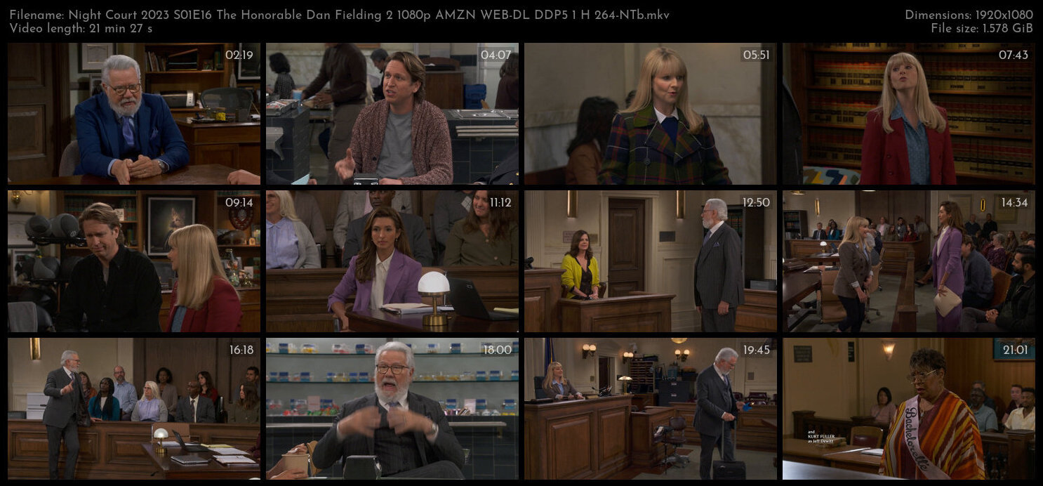 Night Court 2023 S01E16 The Honorable Dan Fielding 2 1080p AMZN WEB DL DDP5 1 H 264 NTb TGx