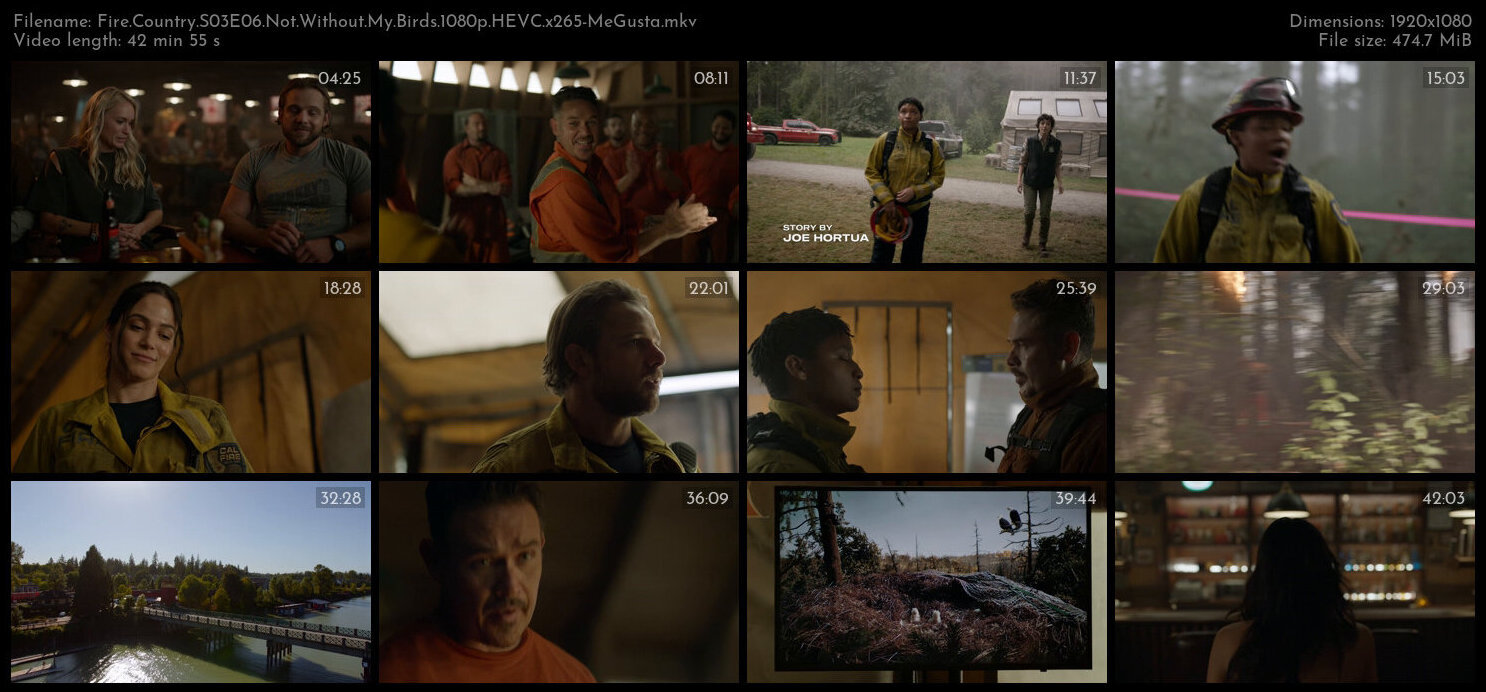 Fire Country S03E06 Not Without My Birds 1080p HEVC x265 MeGusta TGx