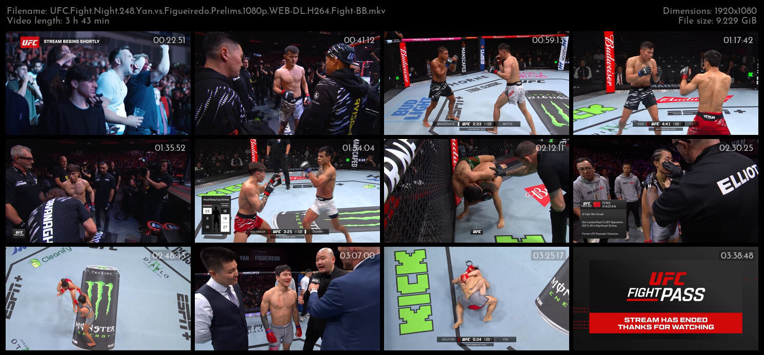 UFC Fight Night 248 Yan vs Figueiredo Prelims 1080p WEB DL H264 Fight BB