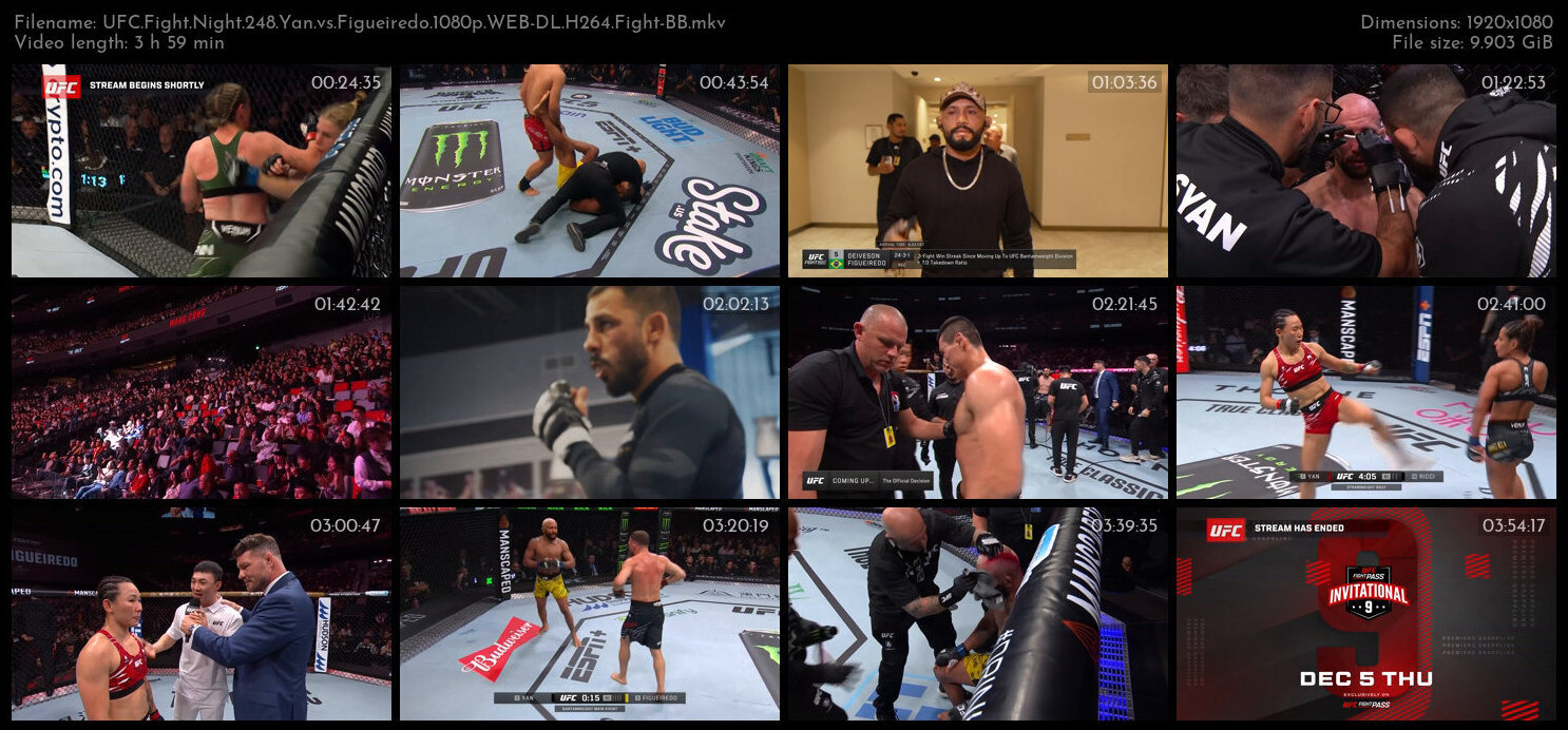 UFC Fight Night 248 Yan vs Figueiredo 1080p WEB DL H264 Fight BB