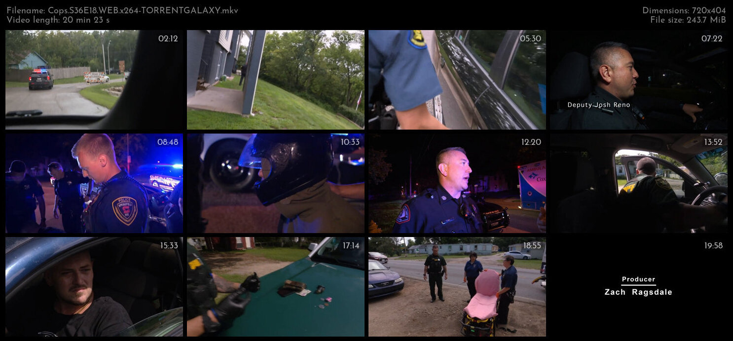 Cops S36E18 WEB x264 TORRENTGALAXY