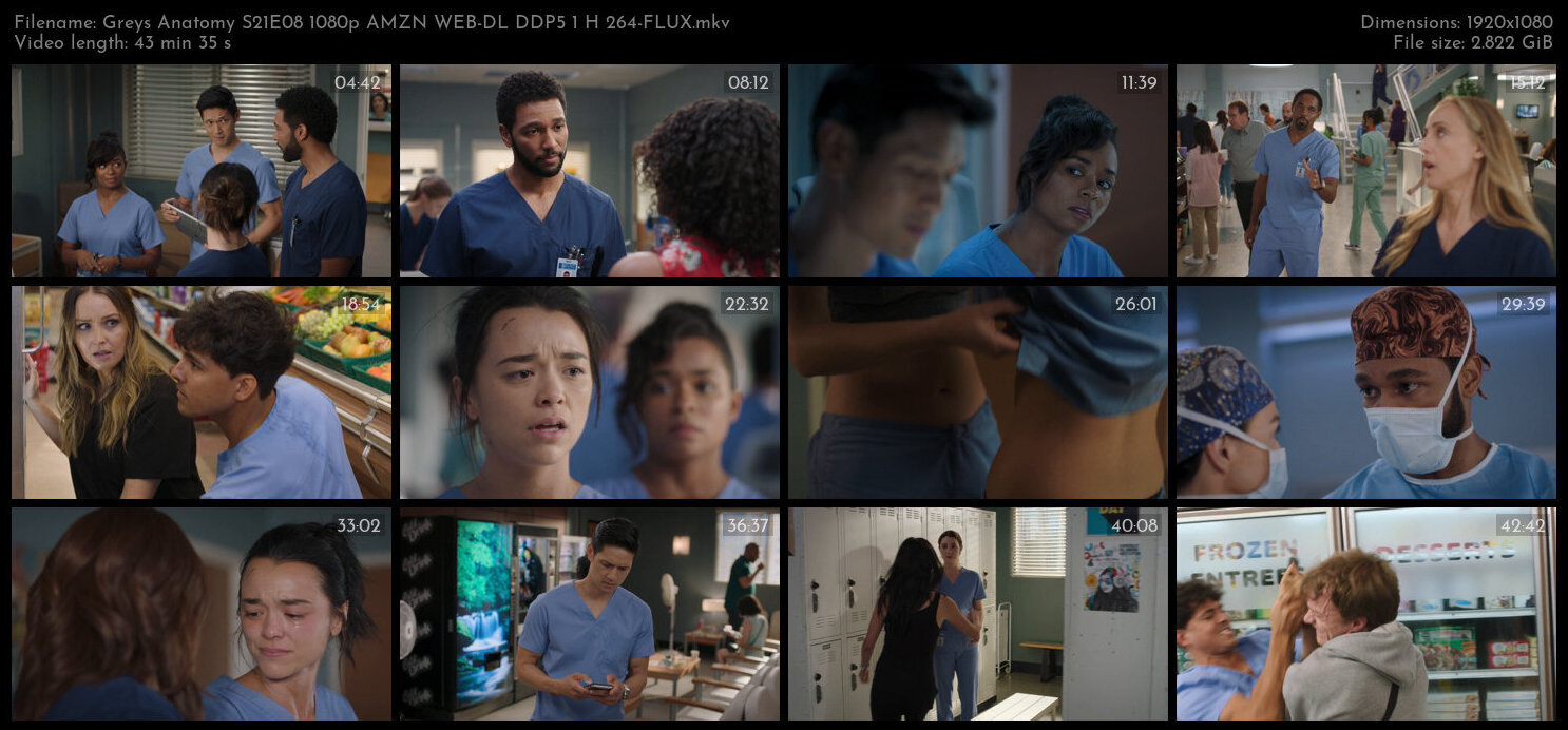 Greys Anatomy S21E08 1080p AMZN WEB DL DDP5 1 H 264 FLUX TGx