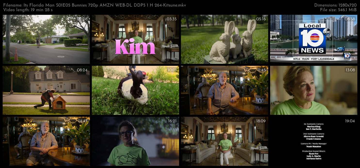 Its Florida Man S01E05 Bunnies 720p AMZN WEB DL DDP5 1 H 264 Kitsune TGx