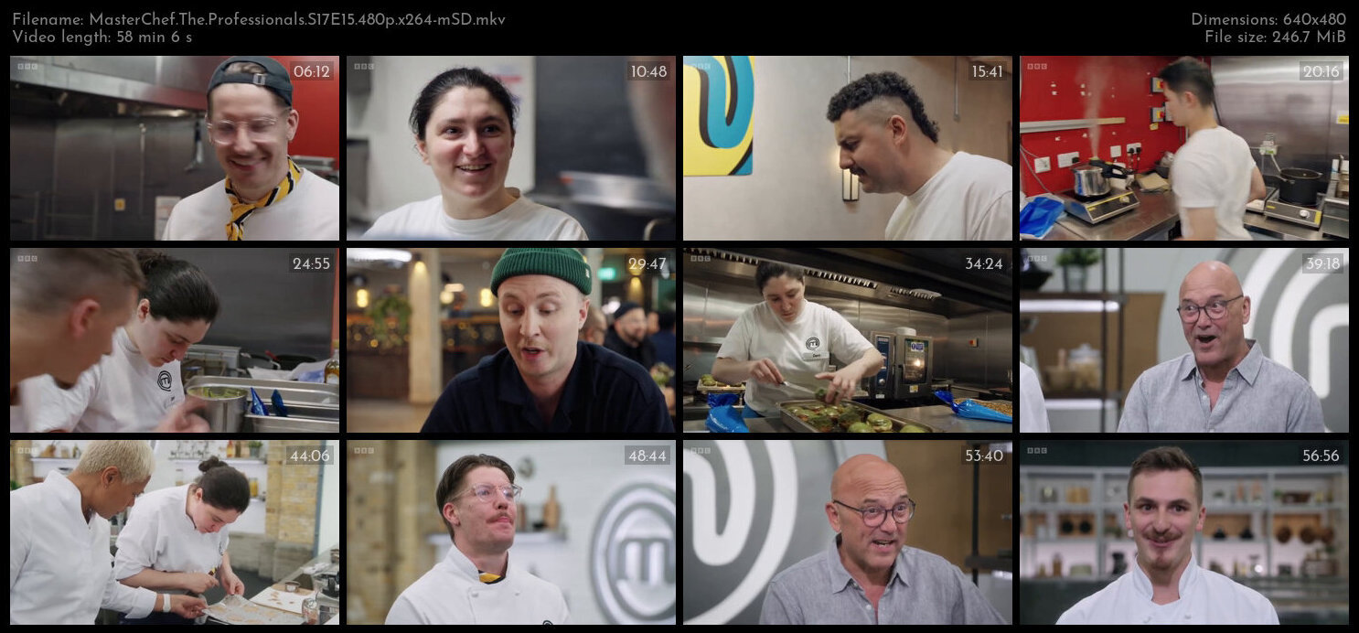 MasterChef The Professionals S17E15 480p x264 mSD TGx