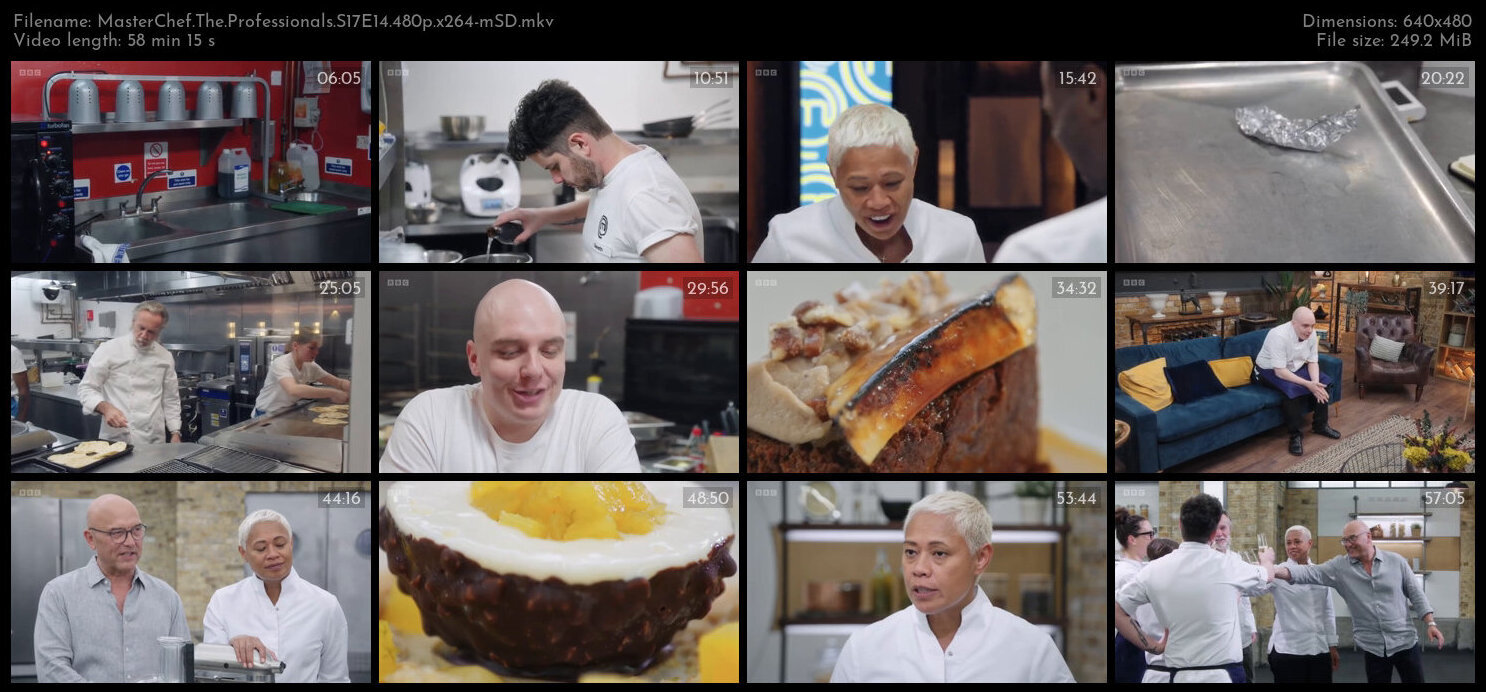 MasterChef The Professionals S17E14 480p x264 mSD TGx