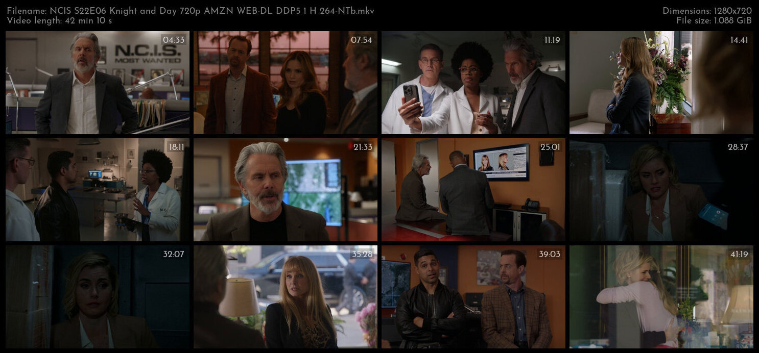 NCIS S22E06 Knight and Day 720p AMZN WEB DL DDP5 1 H 264 NTb TGx