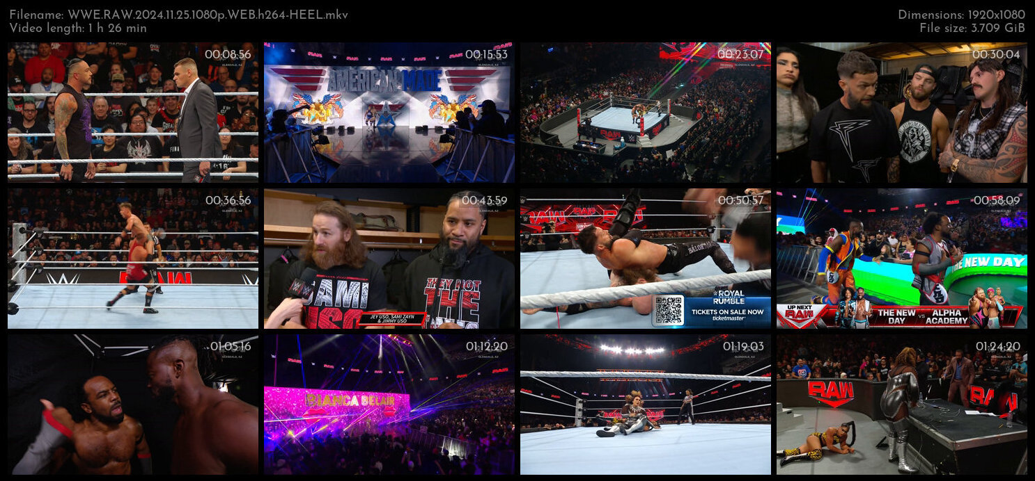 WWE RAW 2024 11 25 1080p WEB h264 HEEL TGx