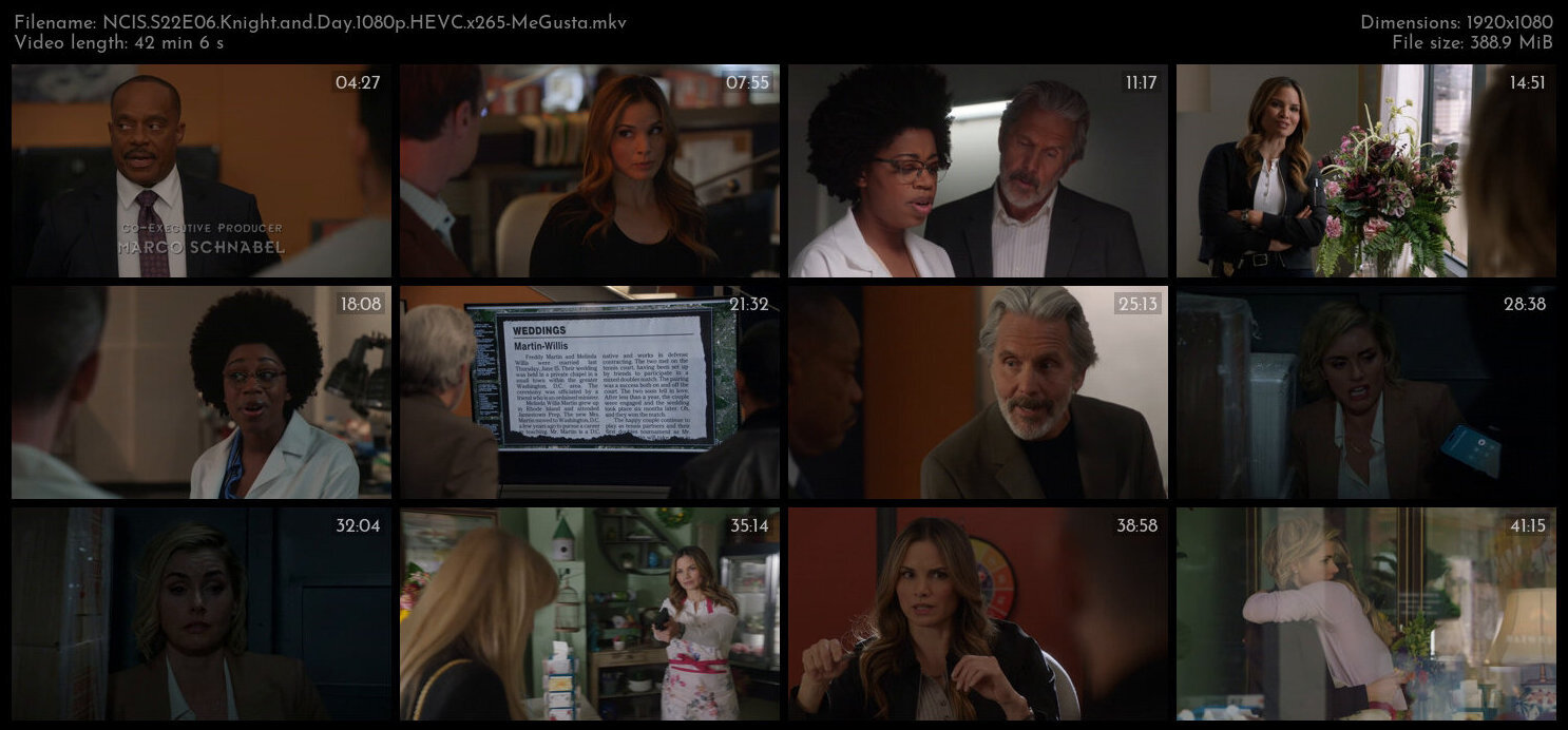 NCIS S22E06 Knight and Day 1080p HEVC x265 MeGusta TGx