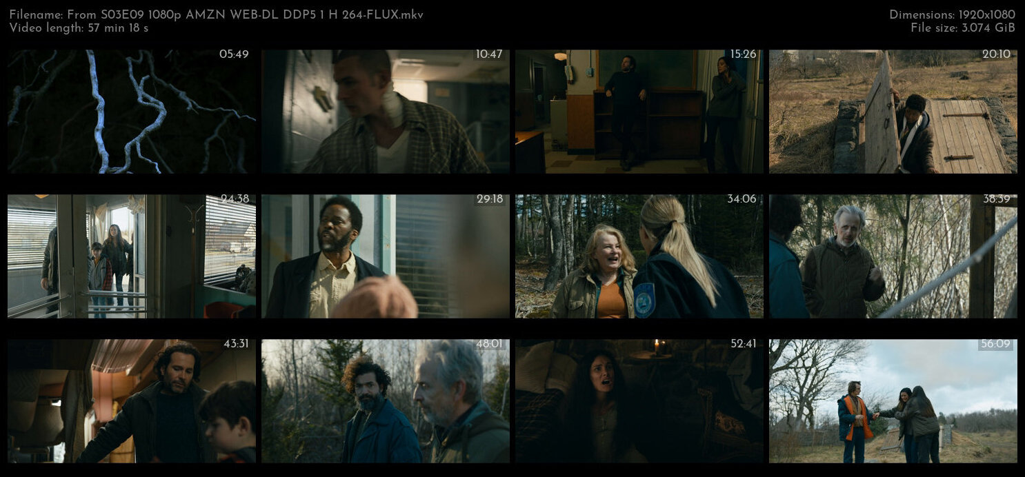 From S03E09 1080p AMZN WEB DL DDP5 1 H 264 FLUX TGx