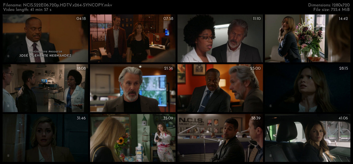 NCIS S22E06 720p HDTV x264 SYNCOPY TGx