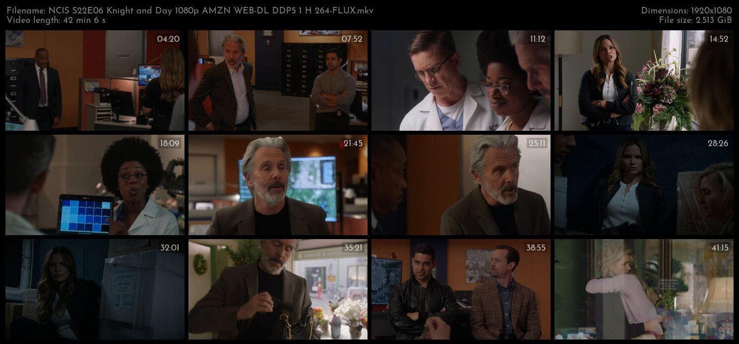 NCIS S22E06 Knight and Day 1080p AMZN WEB DL DDP5 1 H 264 FLUX TGx