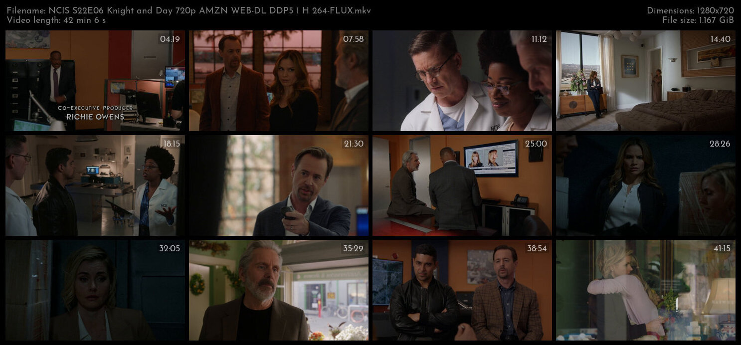 NCIS S22E06 Knight and Day 720p AMZN WEB DL DDP5 1 H 264 FLUX TGx