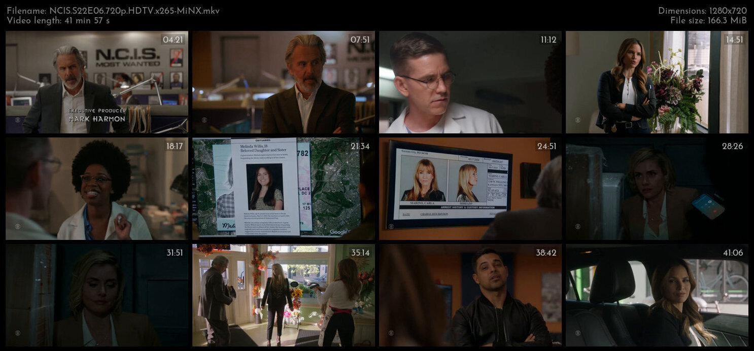 NCIS S22E06 720p HDTV x265 MiNX TGx