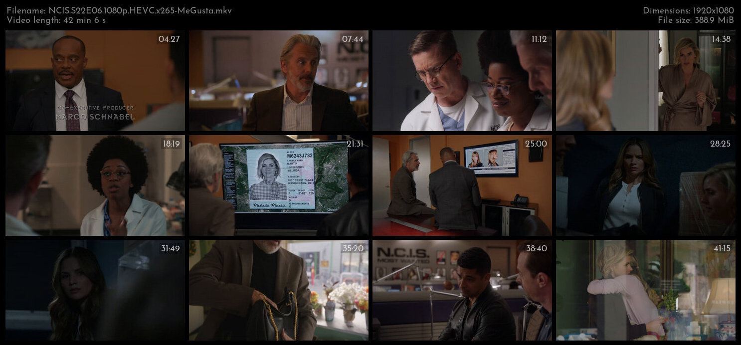 NCIS S22E06 1080p HEVC x265 MeGusta TGx