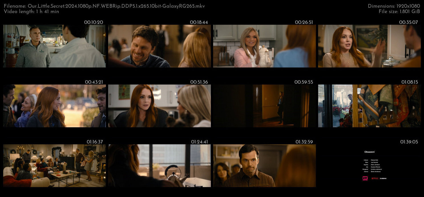 Our Little Secret 2024 1080p NF WEBRip DDP5 1 x265 10bit GalaxyRG265