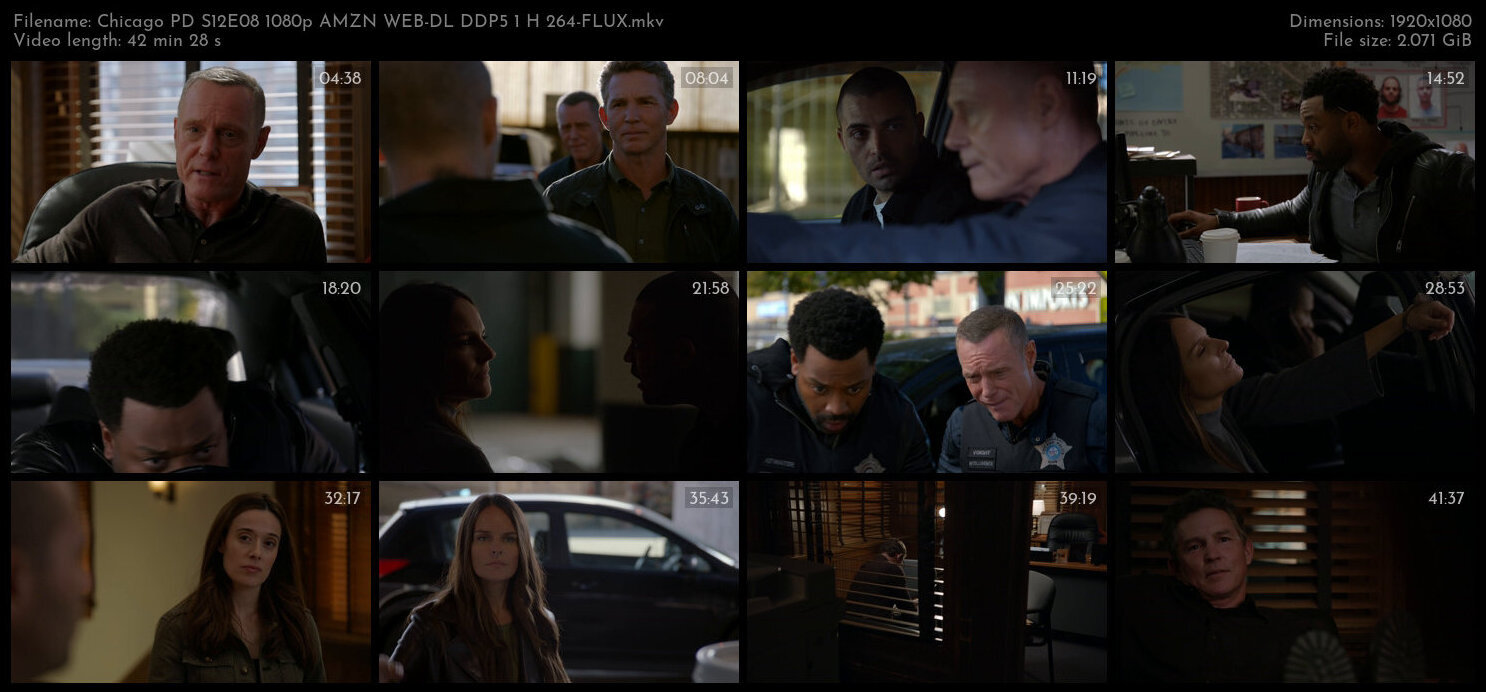 Chicago PD S12E08 1080p AMZN WEB DL DDP5 1 H 264 FLUX TGx