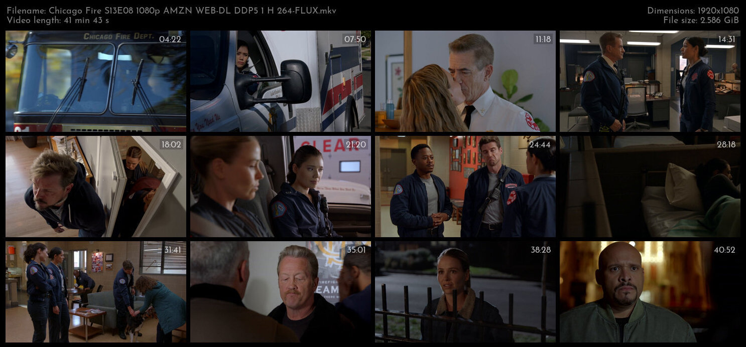 Chicago Fire S13E08 1080p AMZN WEB DL DDP5 1 H 264 FLUX TGx