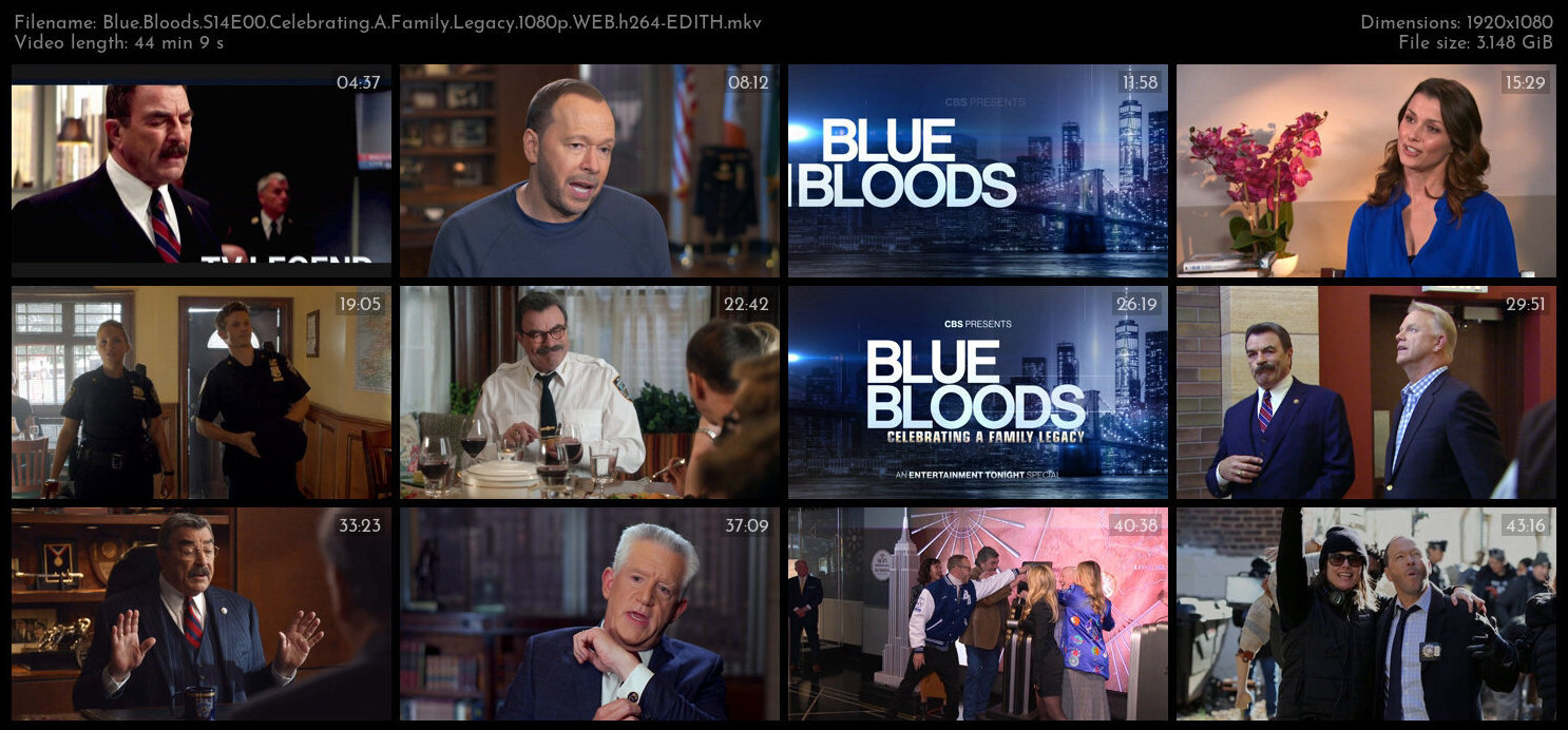 Blue Bloods S14E00 Celebrating A Family Legacy 1080p WEB h264 EDITH TGx