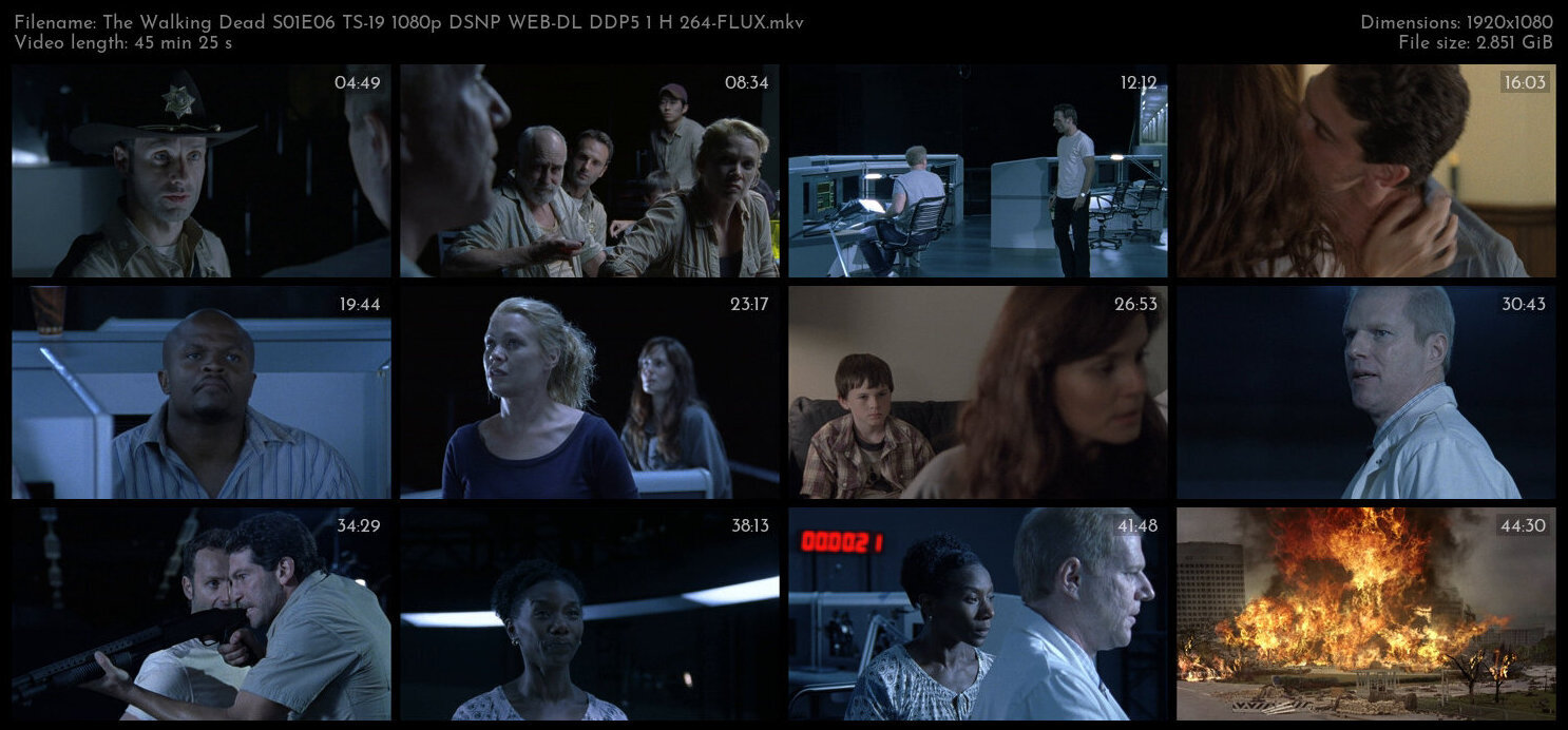 The Walking Dead S01E06 TS 19 1080p DSNP WEB DL DDP5 1 H 264 FLUX TGx