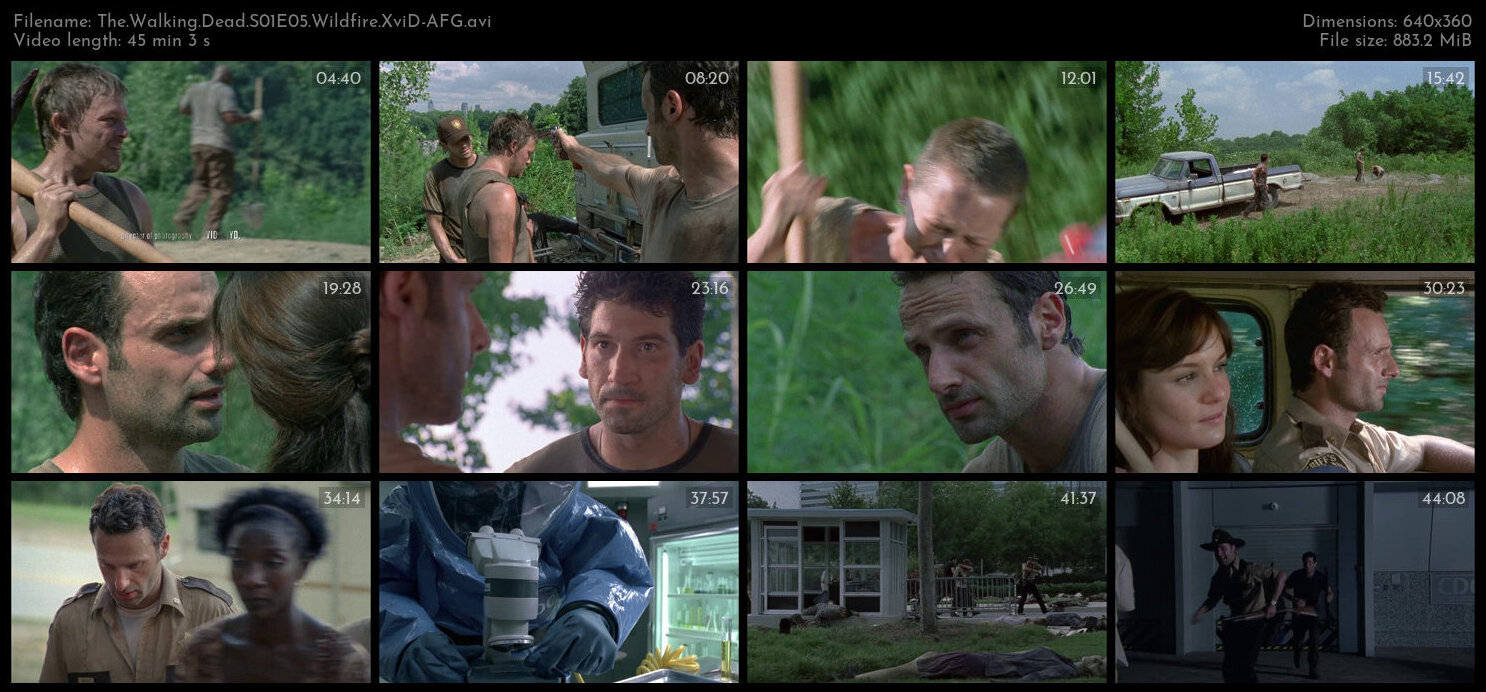 The Walking Dead S01E05 Wildfire XviD AFG TGx