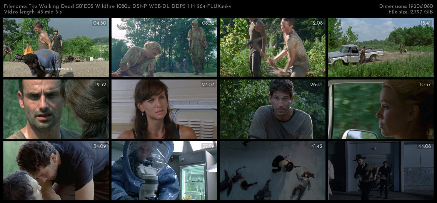 The Walking Dead S01E05 Wildfire 1080p DSNP WEB DL DDP5 1 H 264 FLUX TGx