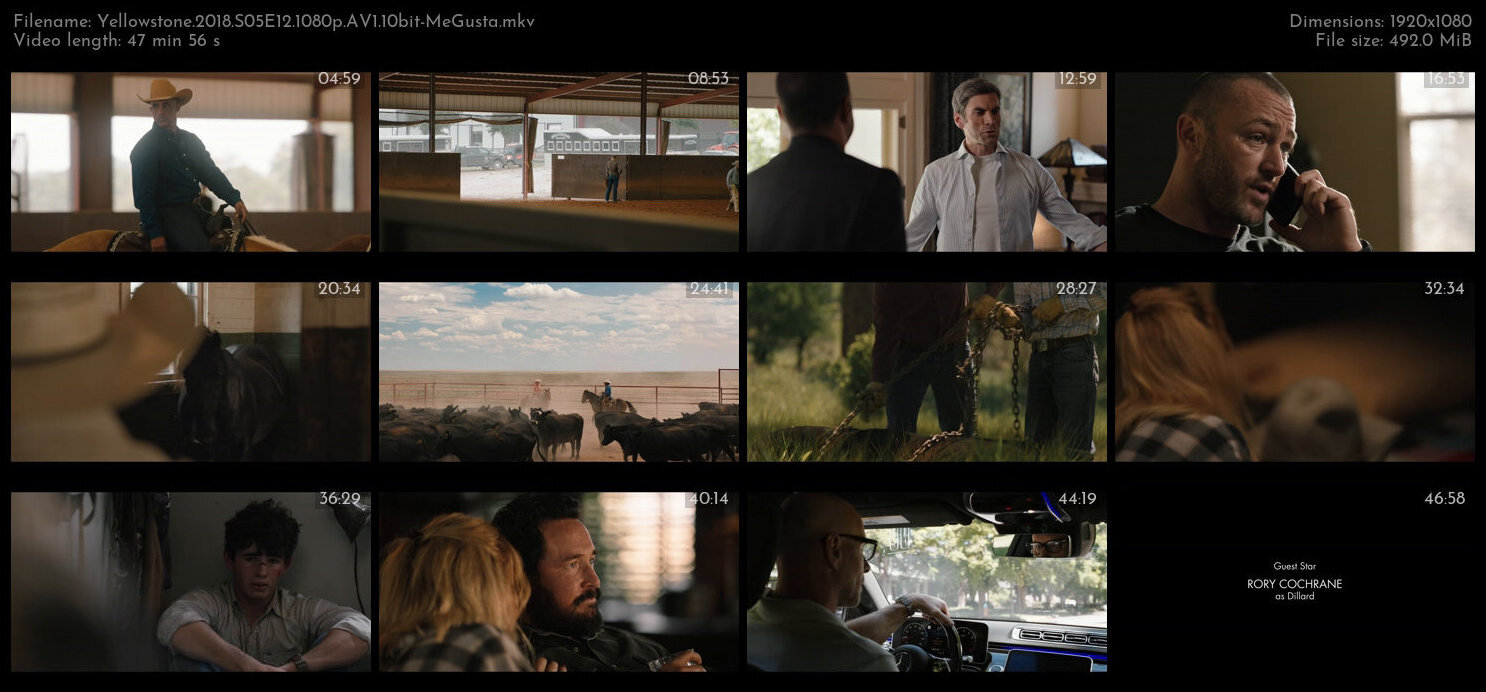 Yellowstone 2018 S05E12 1080p AV1 10bit MeGusta TGx