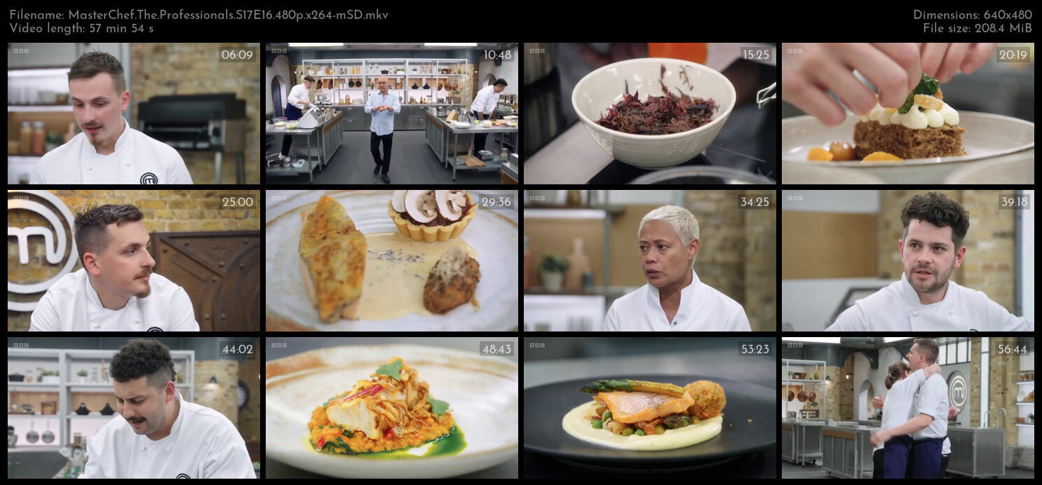 MasterChef The Professionals S17E16 480p x264 mSD TGx