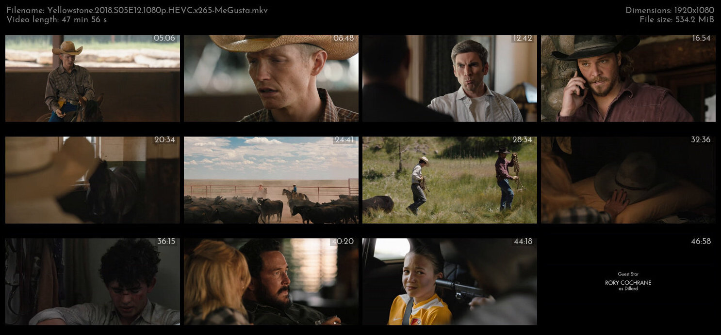 Yellowstone 2018 S05E12 1080p HEVC x265 MeGusta TGx