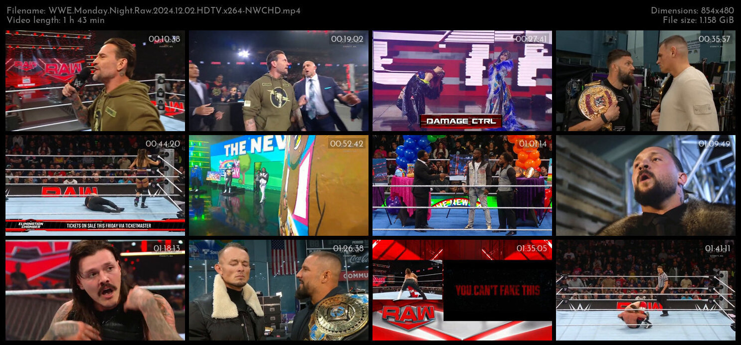 WWE Monday Night Raw 2024 12 02 HDTV x264 NWCHD TGx