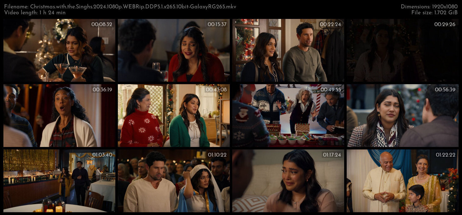 Christmas with the Singhs 2024 1080p WEBRip DDP5 1 x265 10bit GalaxyRG265