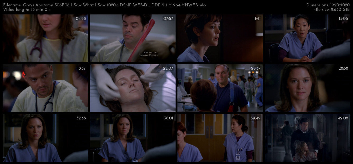 Greys Anatomy S06E06 I Saw What I Saw 1080p DSNP WEB DL DDP 5 1 H 264 HHWEB TGx