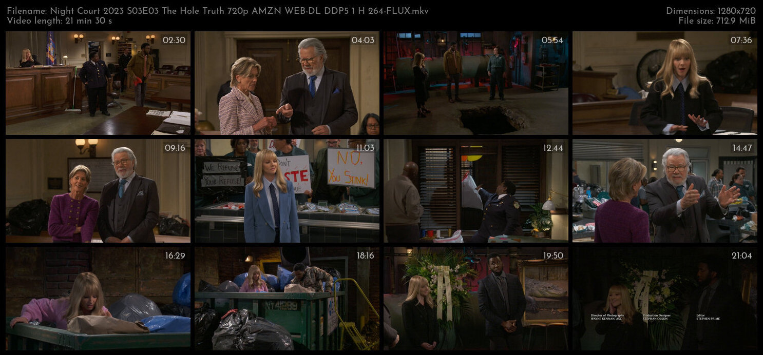 Night Court 2023 S03E03 The Hole Truth 720p AMZN WEB DL DDP5 1 H 264 FLUX TGx