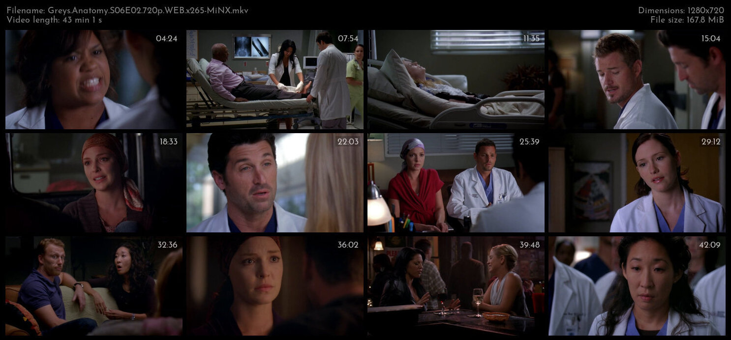 Greys Anatomy S06E02 720p WEB x265 MiNX TGx