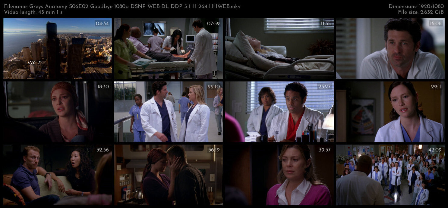 Greys Anatomy S06E02 Goodbye 1080p DSNP WEB DL DDP 5 1 H 264 HHWEB TGx