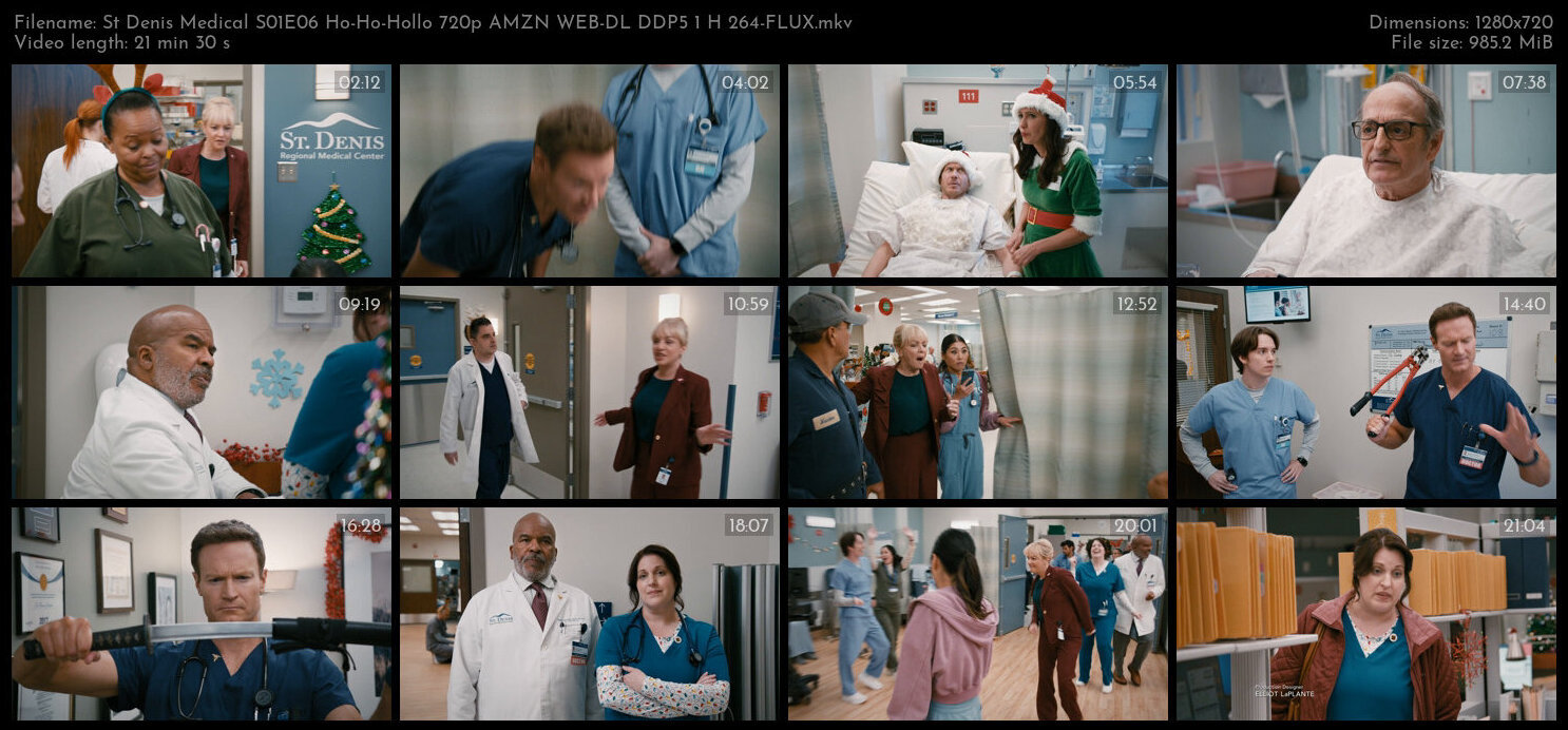 St Denis Medical S01E06 Ho Ho Hollo 720p AMZN WEB DL DDP5 1 H 264 FLUX TGx