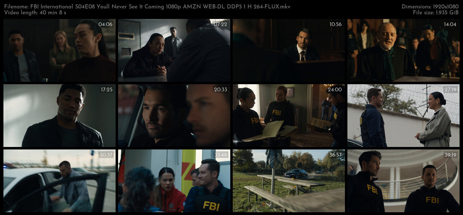 FBI International S04E08 Youll Never See It Coming 1080p AMZN WEB DL DDP5 1 H 264 FLUX TGx