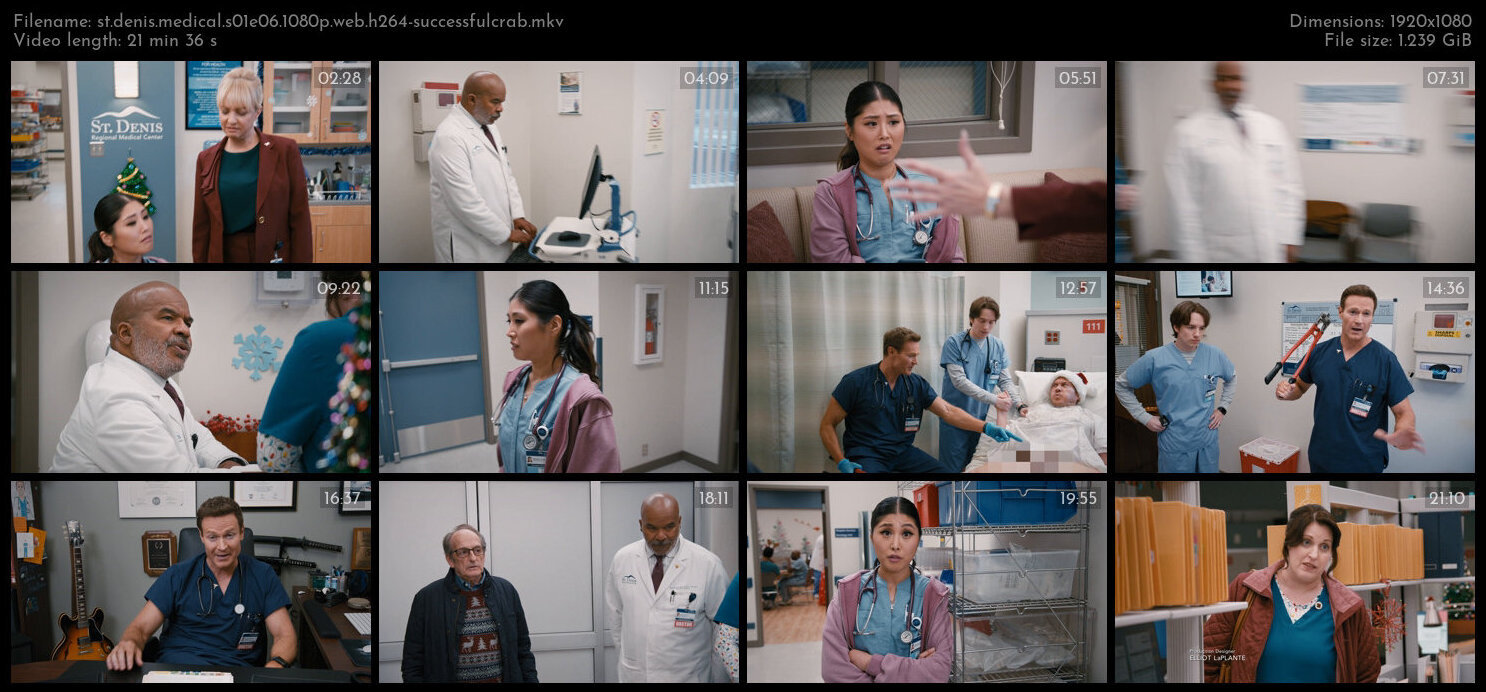 St Denis Medical S01E06 1080p WEB H264 SuccessfulCrab TGx