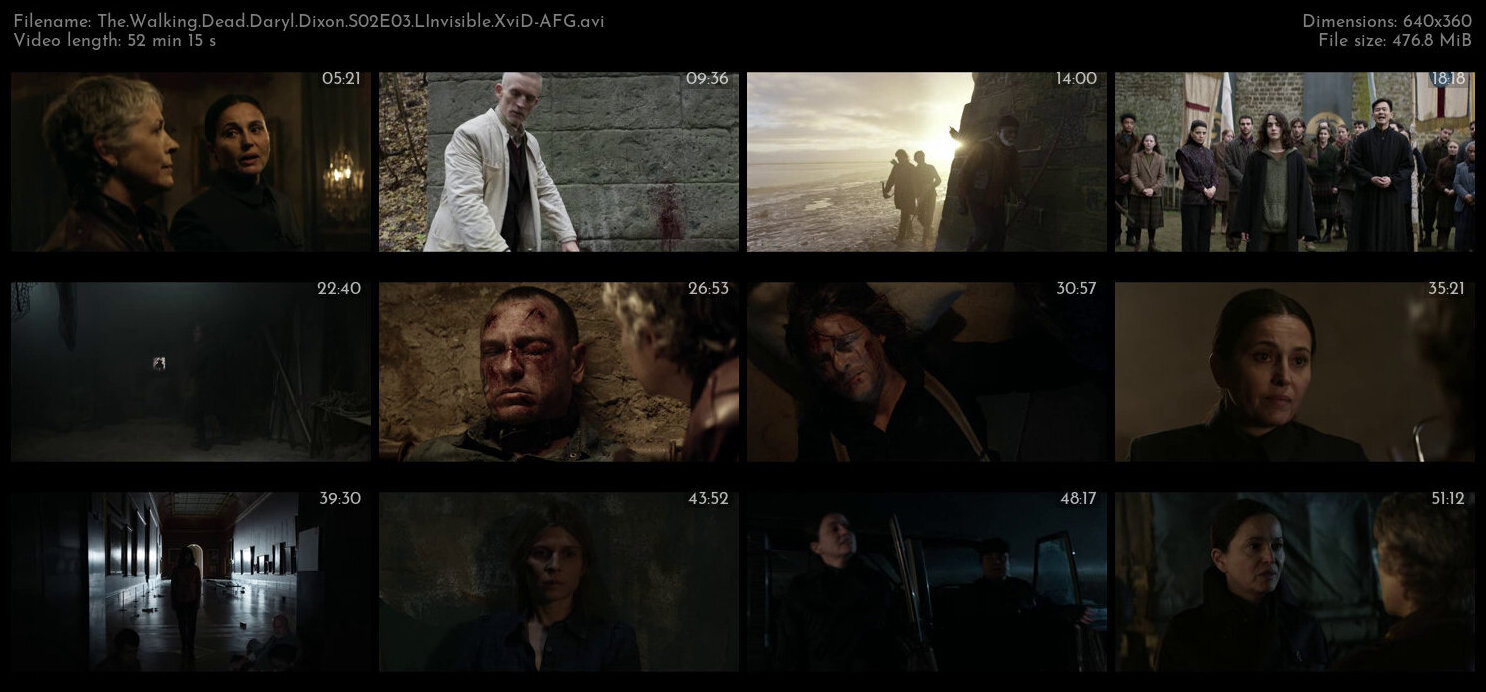 The Walking Dead Daryl Dixon S02E03 LInvisible XviD AFG TGx