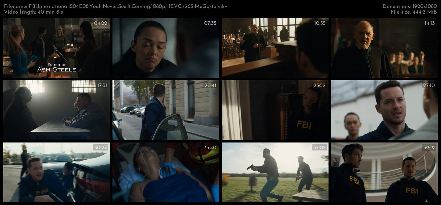 FBI International S04E08 Youll Never See It Coming 1080p HEVC x265 MeGusta TGx