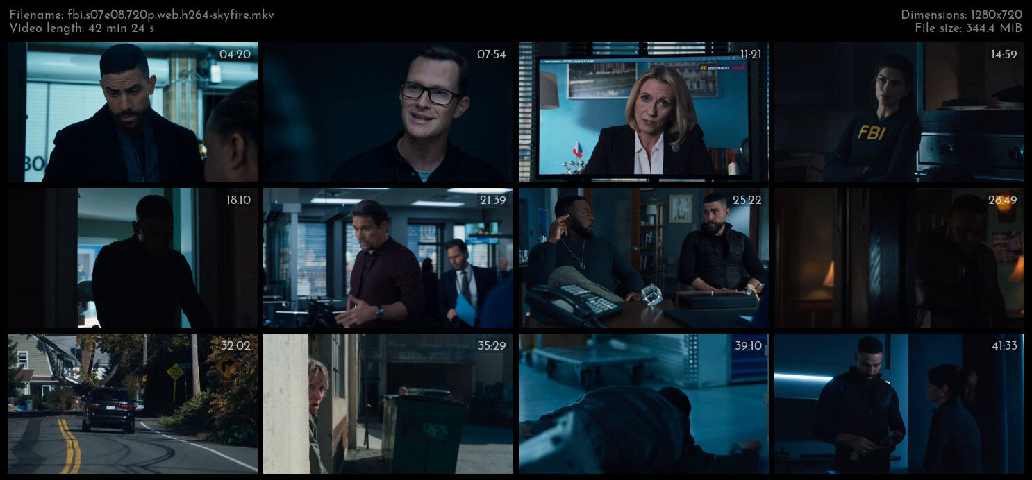 FBI S07E08 720p WEB H264 SKYFiRE TGx