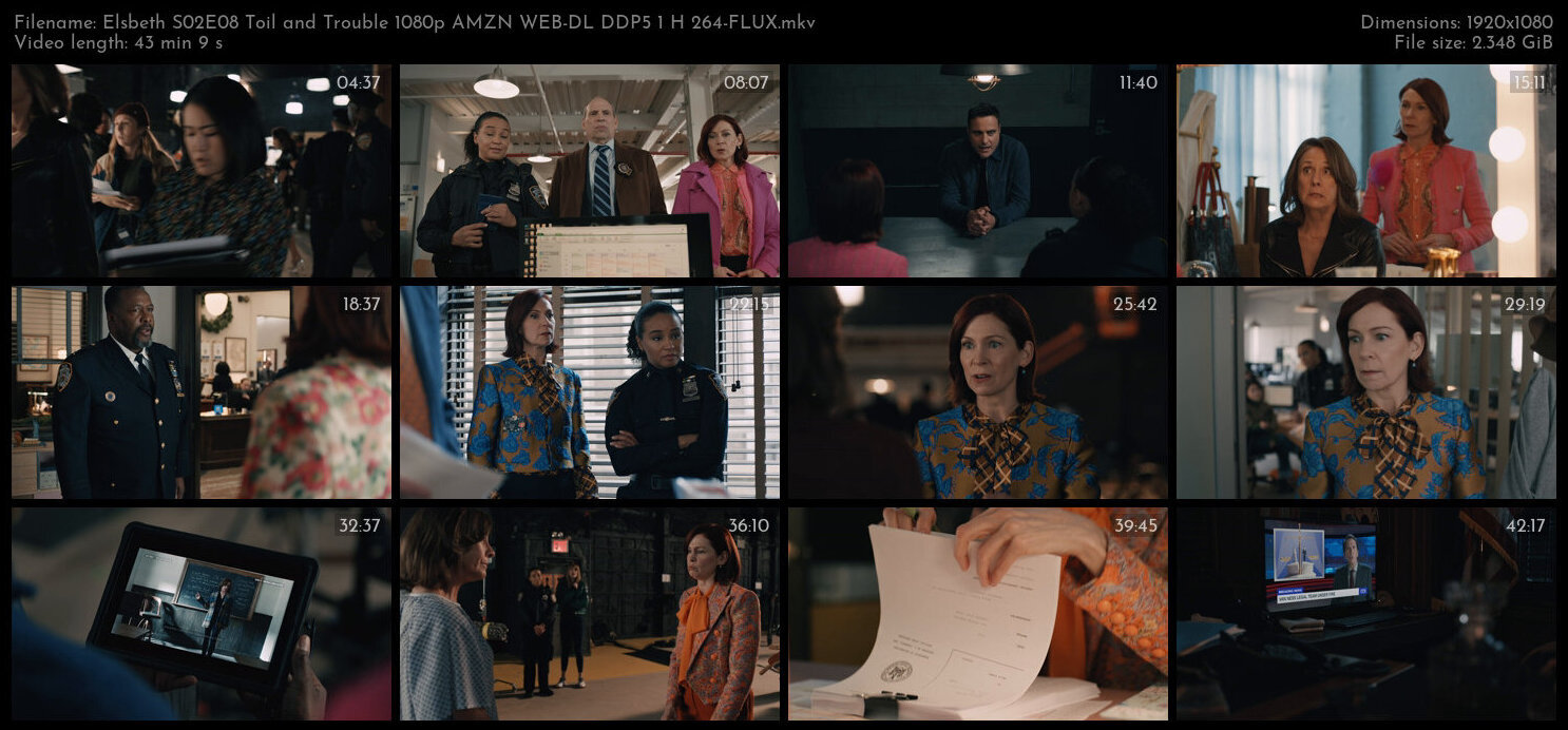 Elsbeth S02E08 Toil and Trouble 1080p AMZN WEB DL DDP5 1 H 264 FLUX TGx